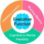Executive Functioning Skills